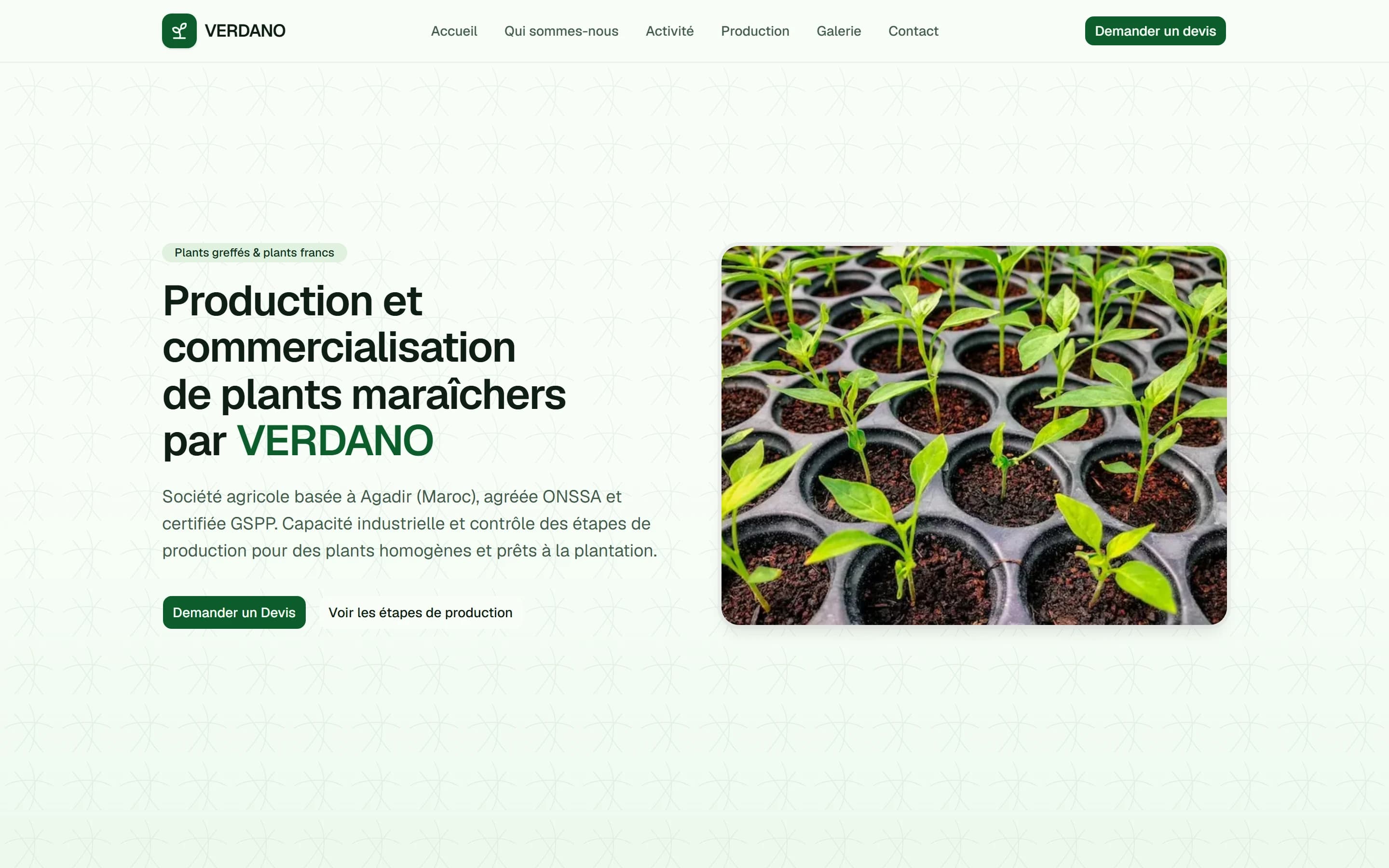 Hero and brand atmosphere for green-sector commercial environments